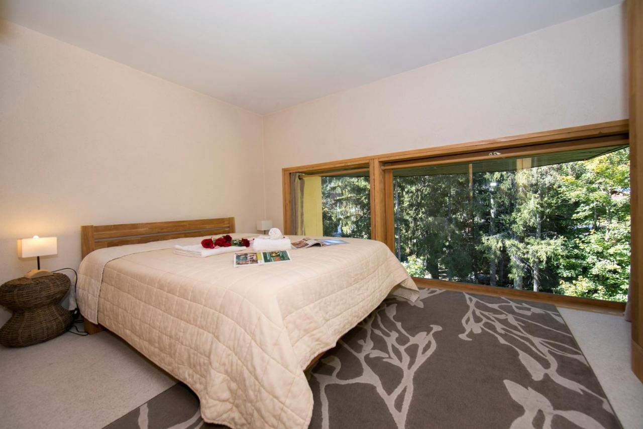 Résidence Grand Roc - Ancolies 104 - Happy Rentals Chamonix Esterno foto